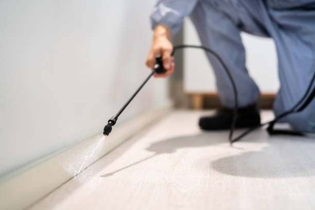 Licensed Mosquito Control service in Big Rock, IL - Show Me Pest Control