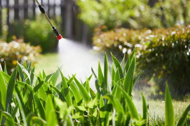 24/7 Emergency Mosquito Control experts in Big Rock, IL